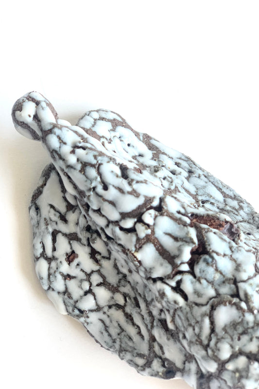 Haruka Miyata / Angel