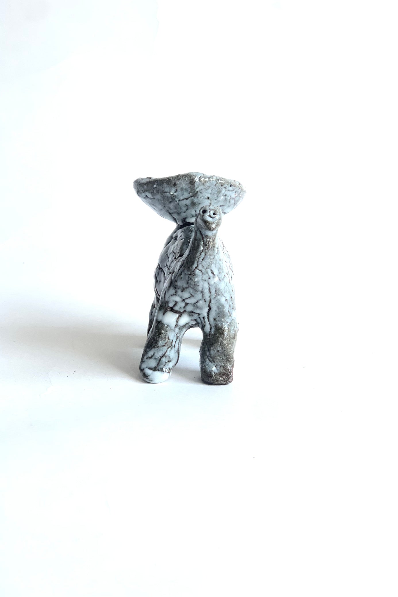 宮田 春花 / 動物