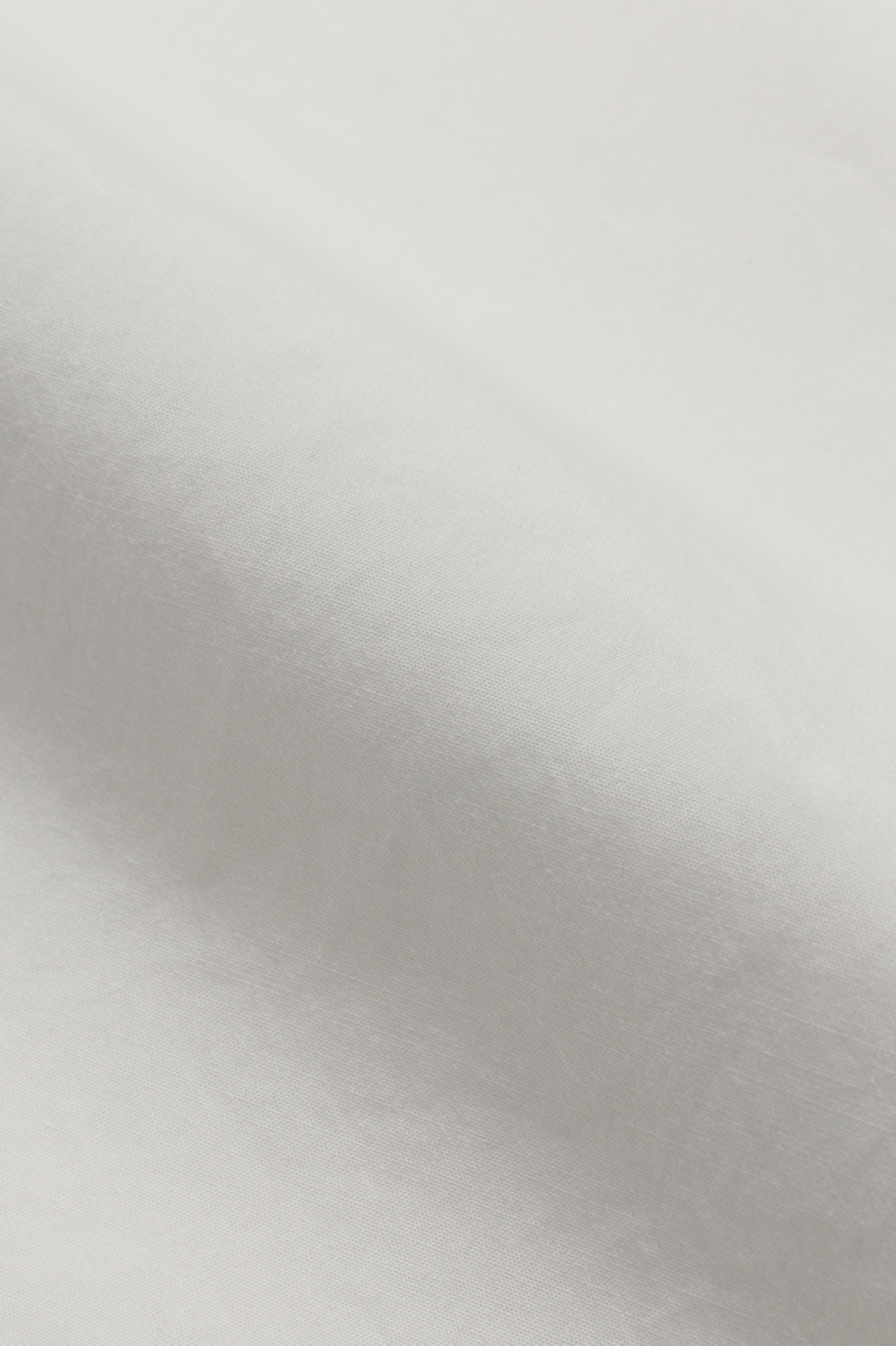 PERSONAL MATTERS / Organic Cotton Broad Shirt