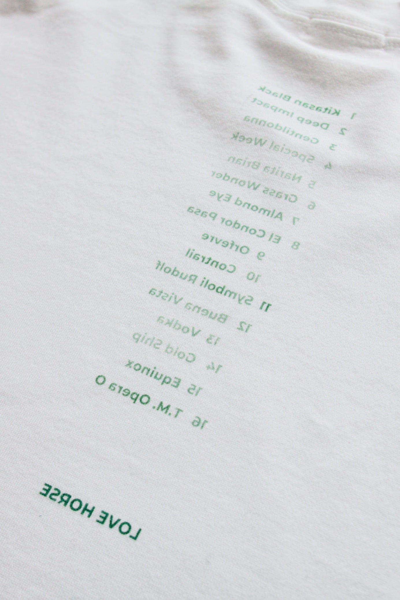 awasa / "LOVE HORSE" print long sleeve t-shirts
