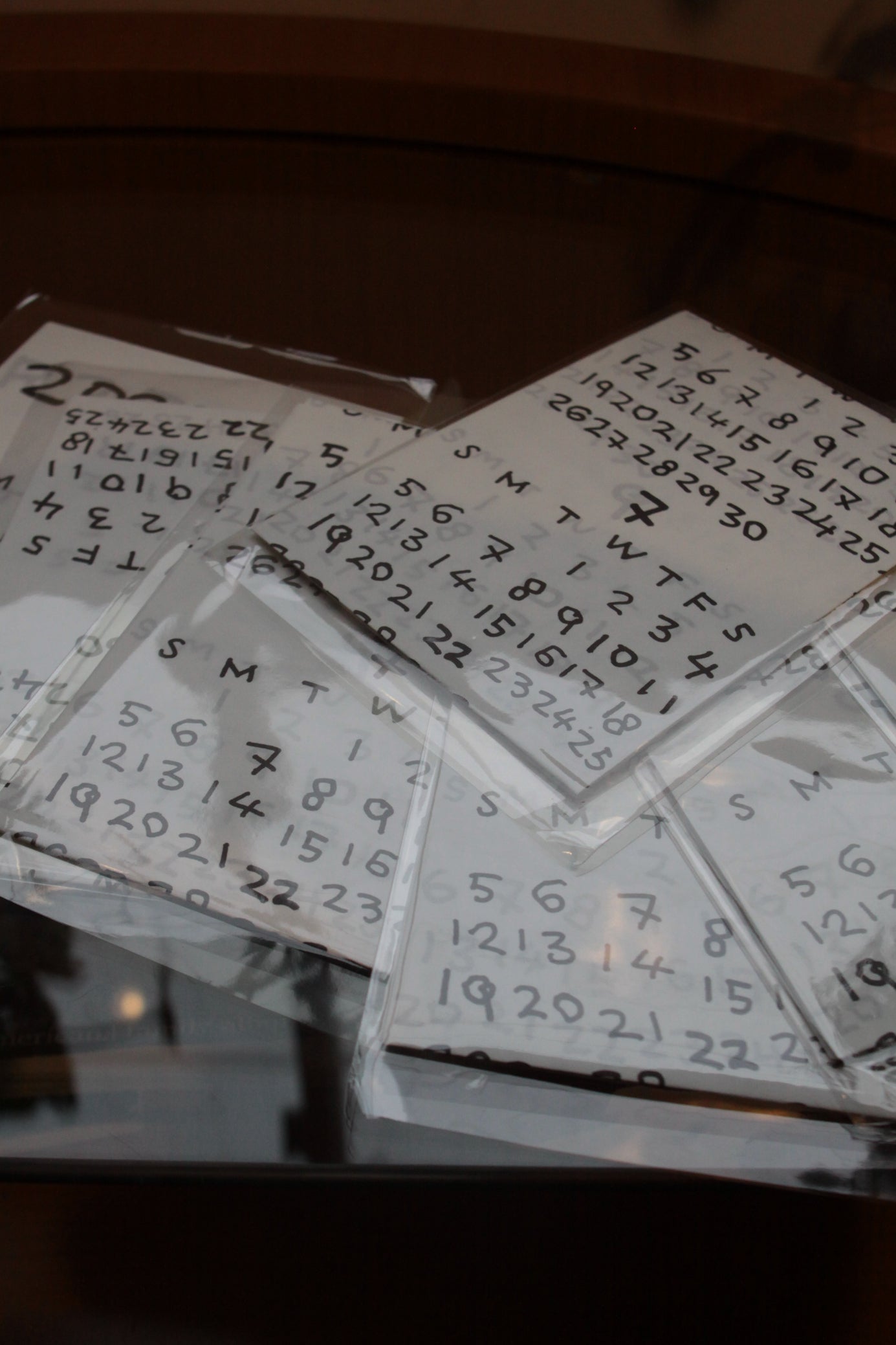 AONA HAYASHI / 2026 POSTER(折り)