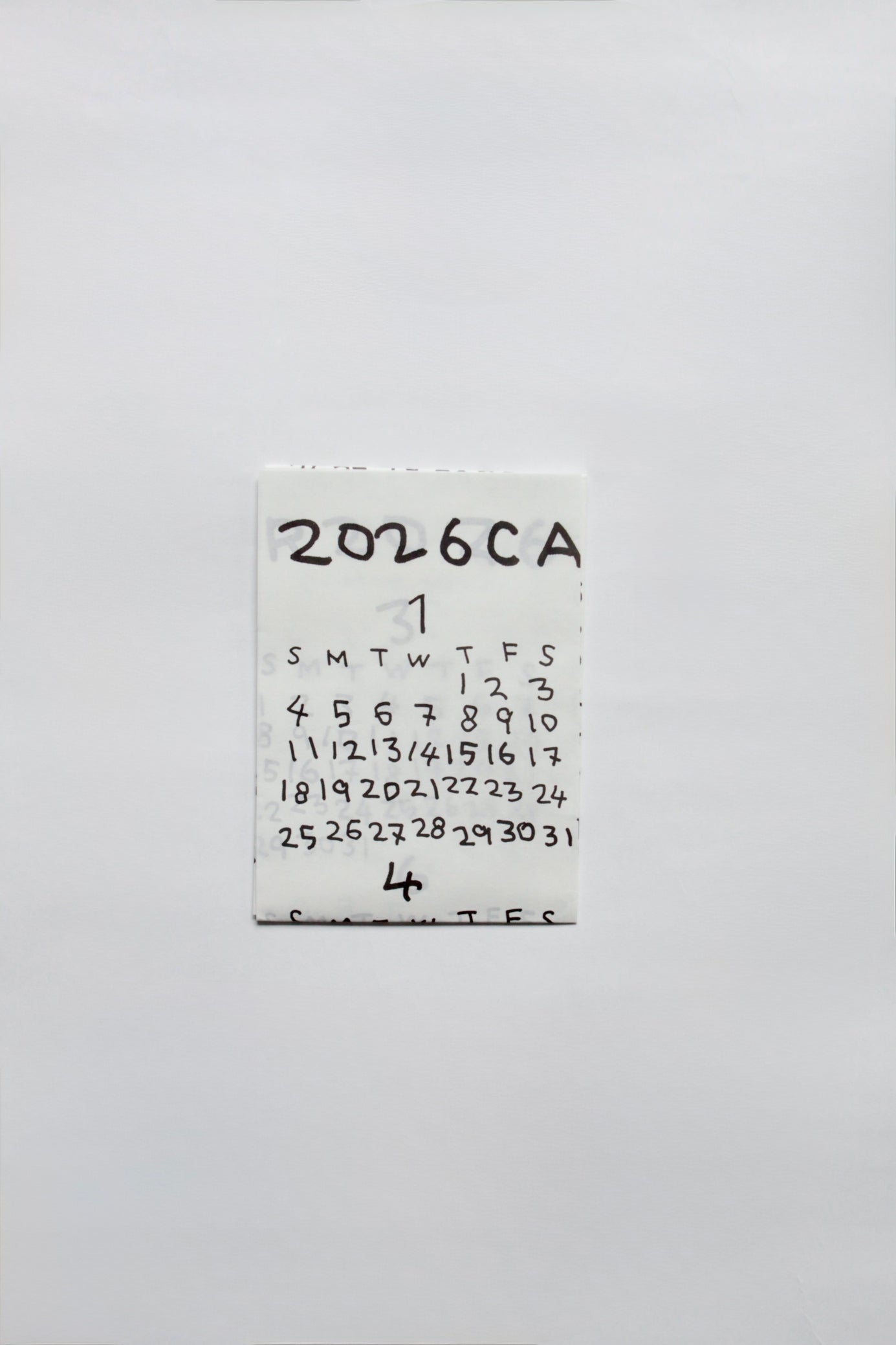 AONA HAYASHI / 2026 POSTER(折り)